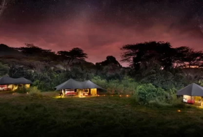 Top 5 luxurious safari camps in Kenya