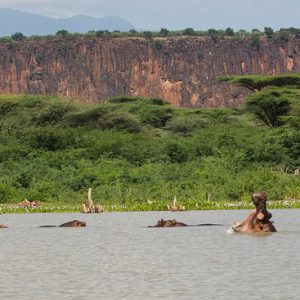 Hotels in Naivasha