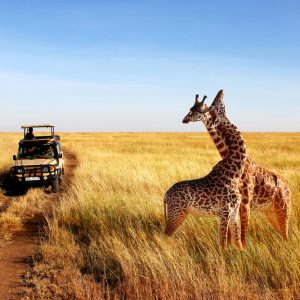 Hotels in Maasai Mara