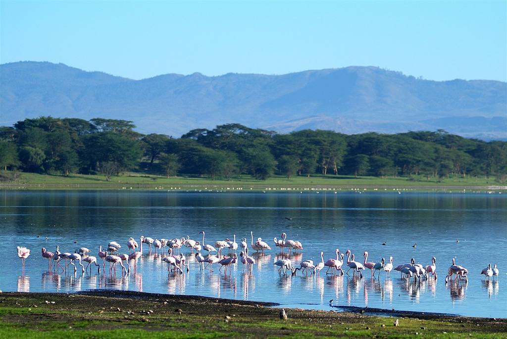 Hotels in Nakuru